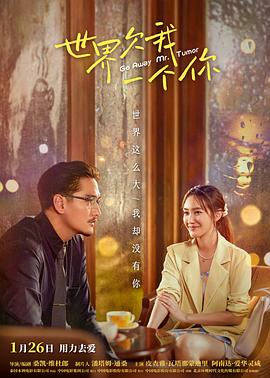 湖北seo优化咋做